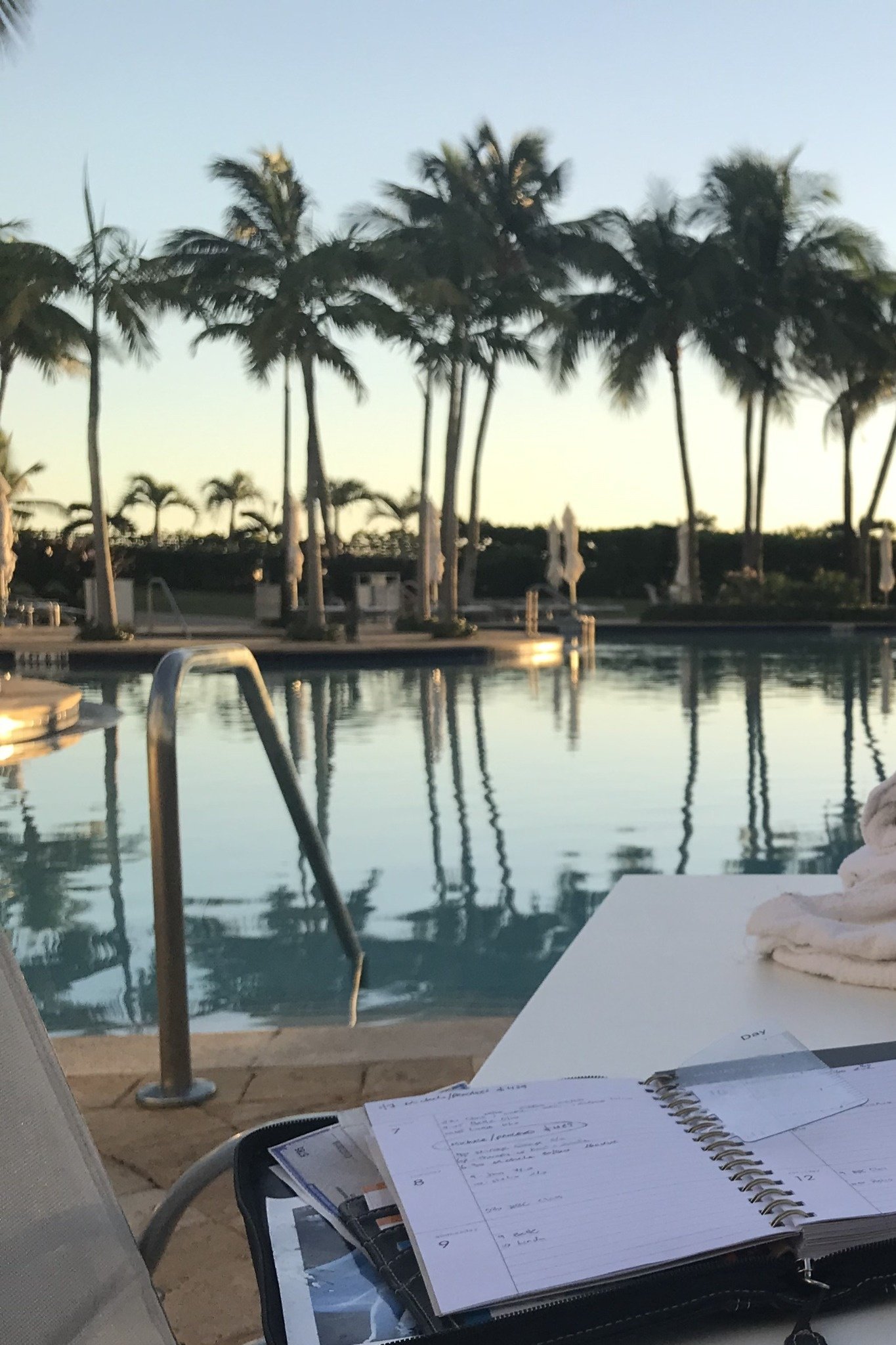 A planner beside a quiet palm-lined pool at dawn