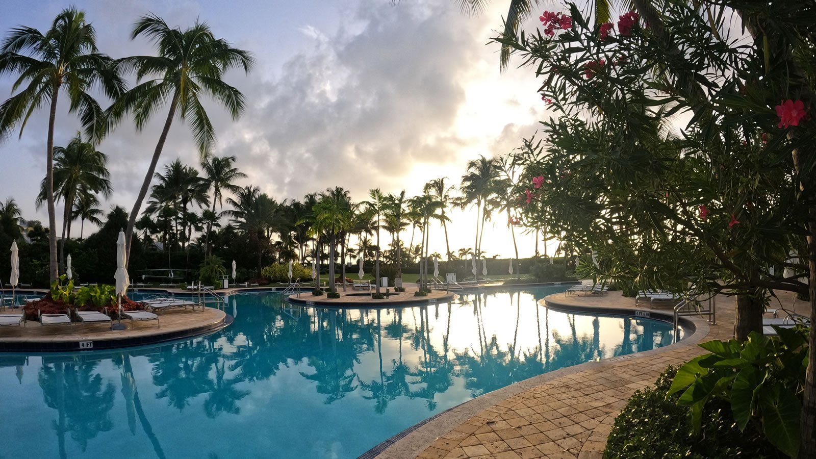 Sunrise over a palm-lined resort pool with still reflections